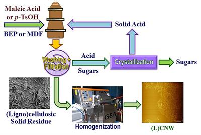 Pilot-Scale Production of Cellulosic Nanowhiskers With Similar Morphology to Cellulose Nanocrystals